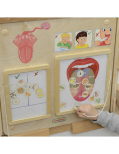 MASTERKIDZ Tablica Edukacyjna Zmysł Wzroku 2