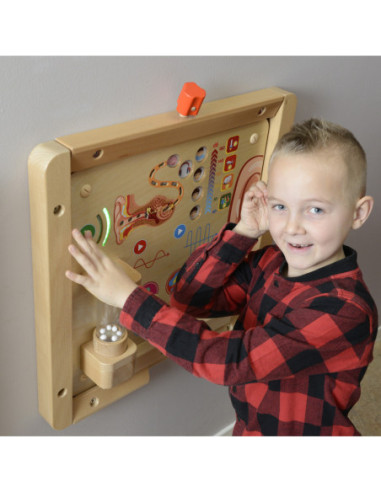 MASTERKIDZ Tablica Edukacyjna Zmysł Słuchu