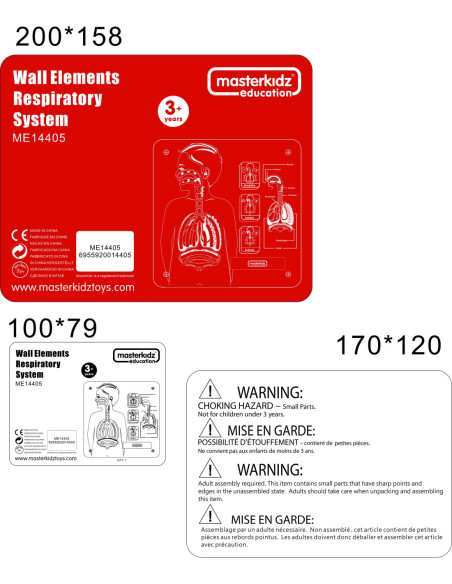 MASTERKIDZ Tablica Edukacyjna Układ Oddechowy