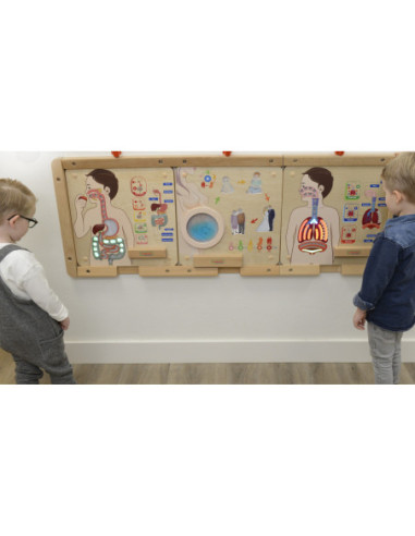 MASTERKIDZ Tablica Edukacyjna Układ Trawienny