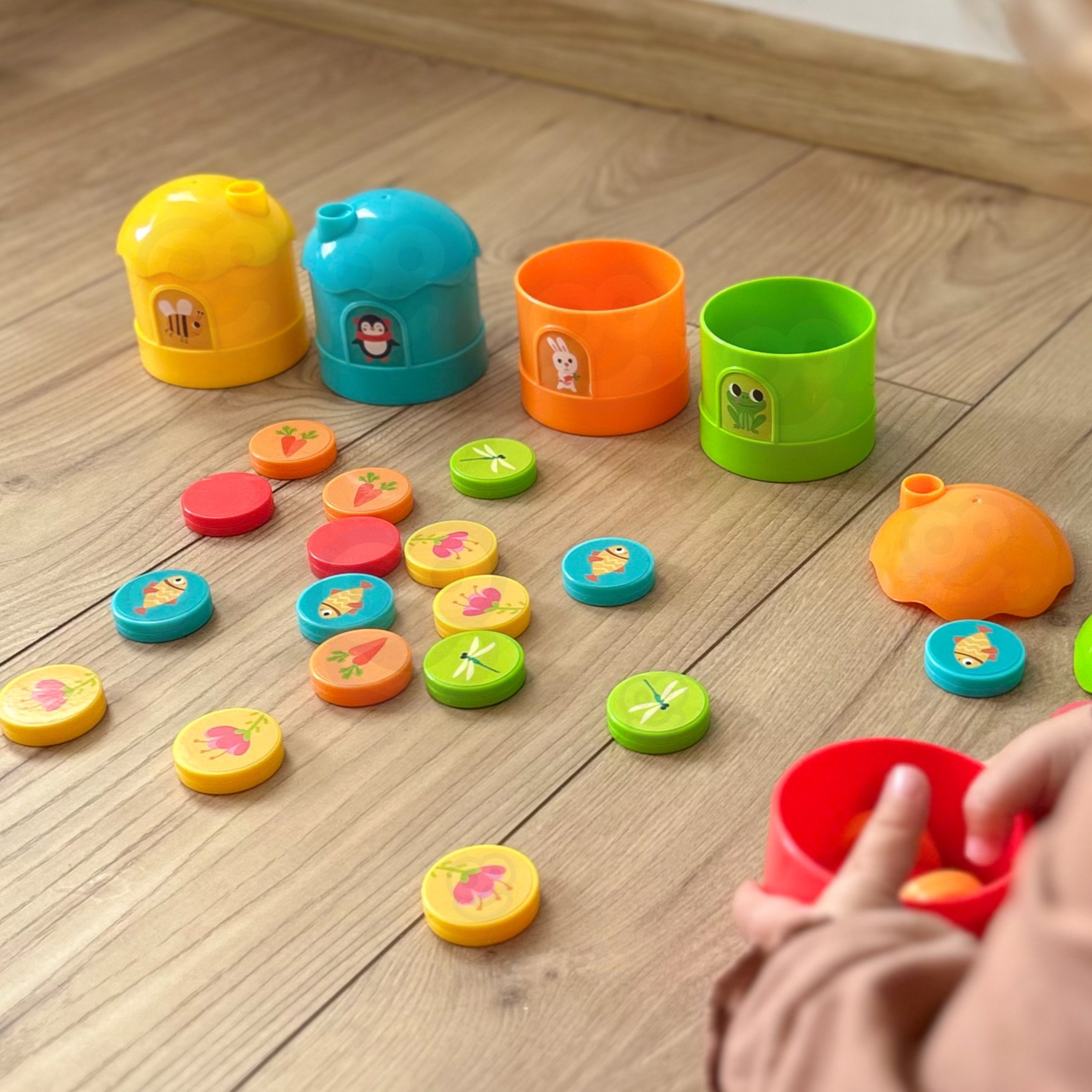 WOOPIE Gra Logiczna Edukacyjna Sorter Klasyfikacja Kolorów