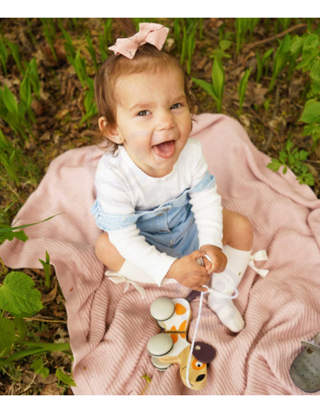 Viga PolarB Drewniany Piesek do Ciągnięcia