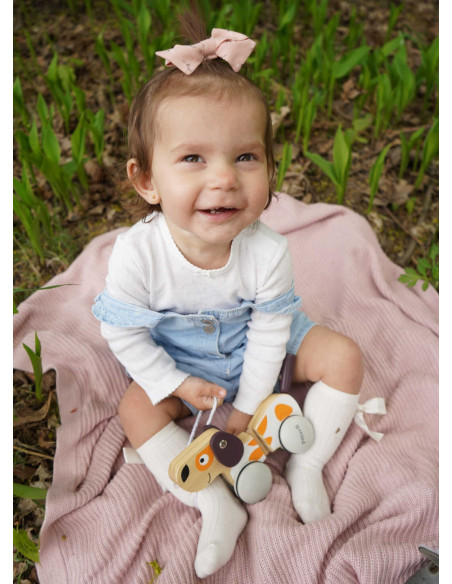 Viga PolarB Drewniany Piesek do Ciągnięcia