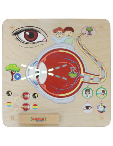 MASTERKIDZ Tablica Edukacyjna Zmysł Wzroku