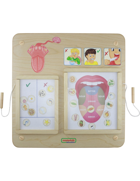 MASTERKIDZ Tablica Edukacyjna Zmysł Wzroku