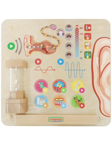 MASTERKIDZ Tablica Edukacyjna Zmysł Słuchu