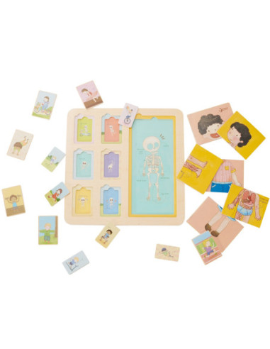 CLASSIC WORLD Tablica Edukacyjna Ciało Ludzkie Układanka Klocki Puzzle dla Dzieci Dopasuj 19 el.