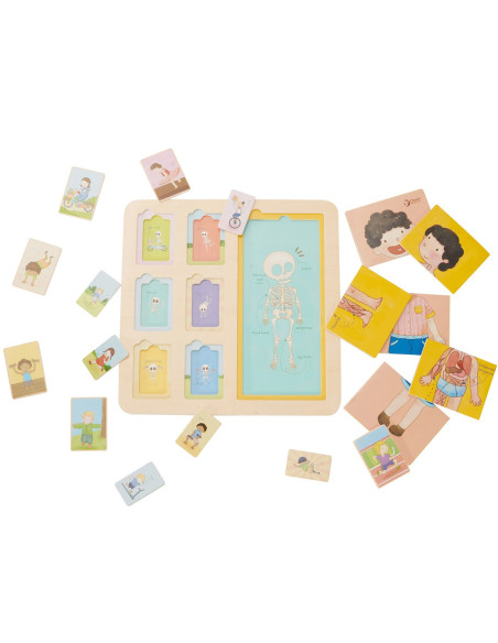 CLASSIC WORLD Tablica Edukacyjna Ciało Ludzkie Układanka Klocki Puzzle dla Dzieci Dopasuj 19 el.