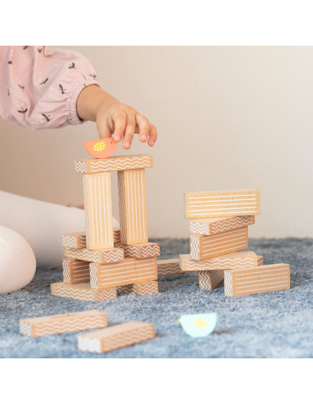 CLASSIC WORLD Gra Edukacyjna Układanie Ptaków