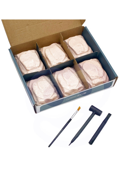 WOOPIE Zabawka Kreatywna Dinozaur Szkielet Wykopalisko Archeologiczne