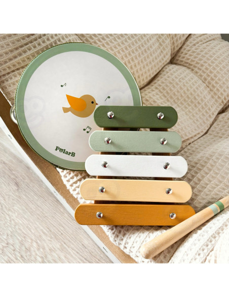 VIGA PolarB Zestaw Instrumentów Muzycznych Zielony