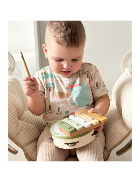 VIGA PolarB Zestaw Instrumentów Muzycznych Zielony