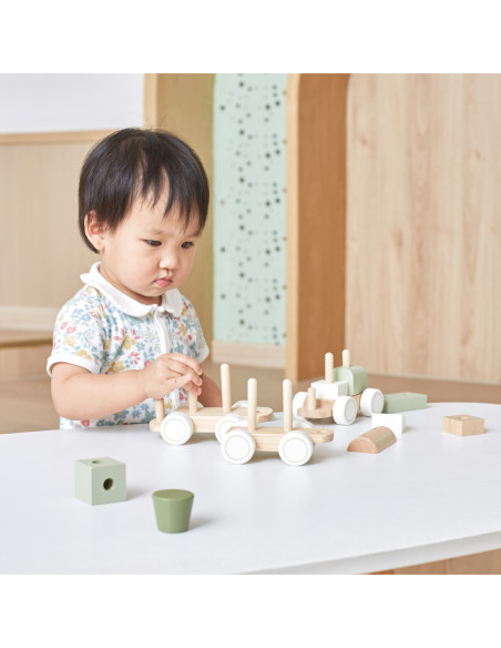 VIGA POLARB Zielona Kolejka Pociąg z Wagonikami Klocki