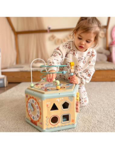 TOOKY TOY Interaktywny Drewniany Sześciokąt Montessori Otwierane Pudełko