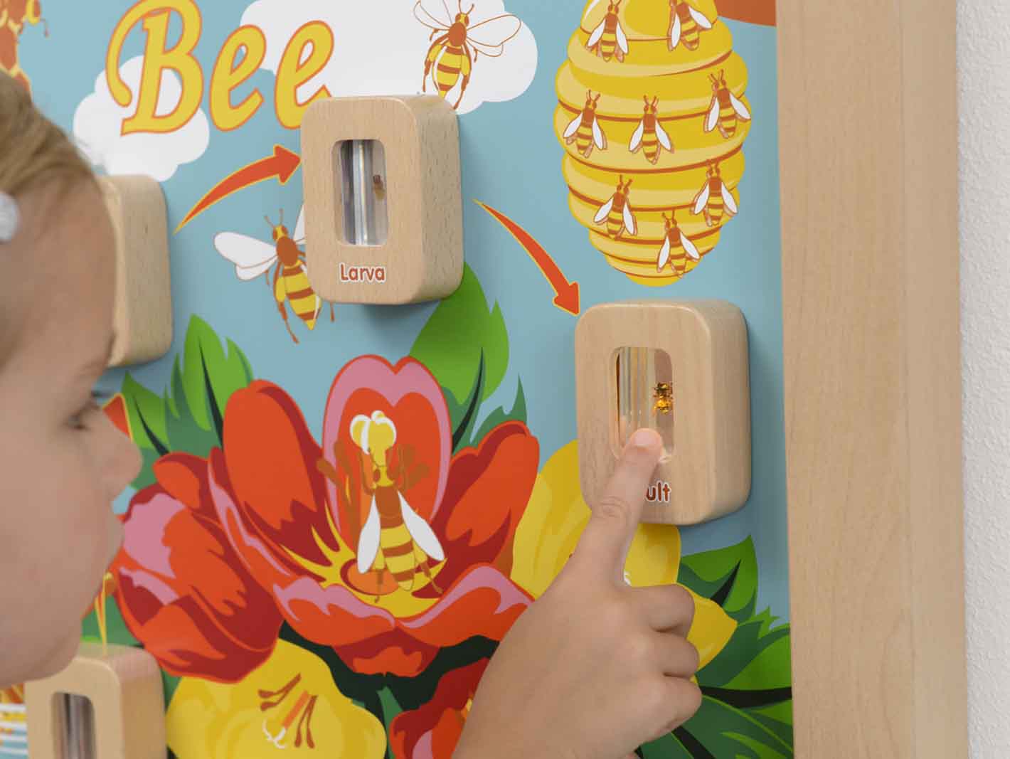 Cykl życia pszczoły ścienna tablica edukacyjna flex montessori