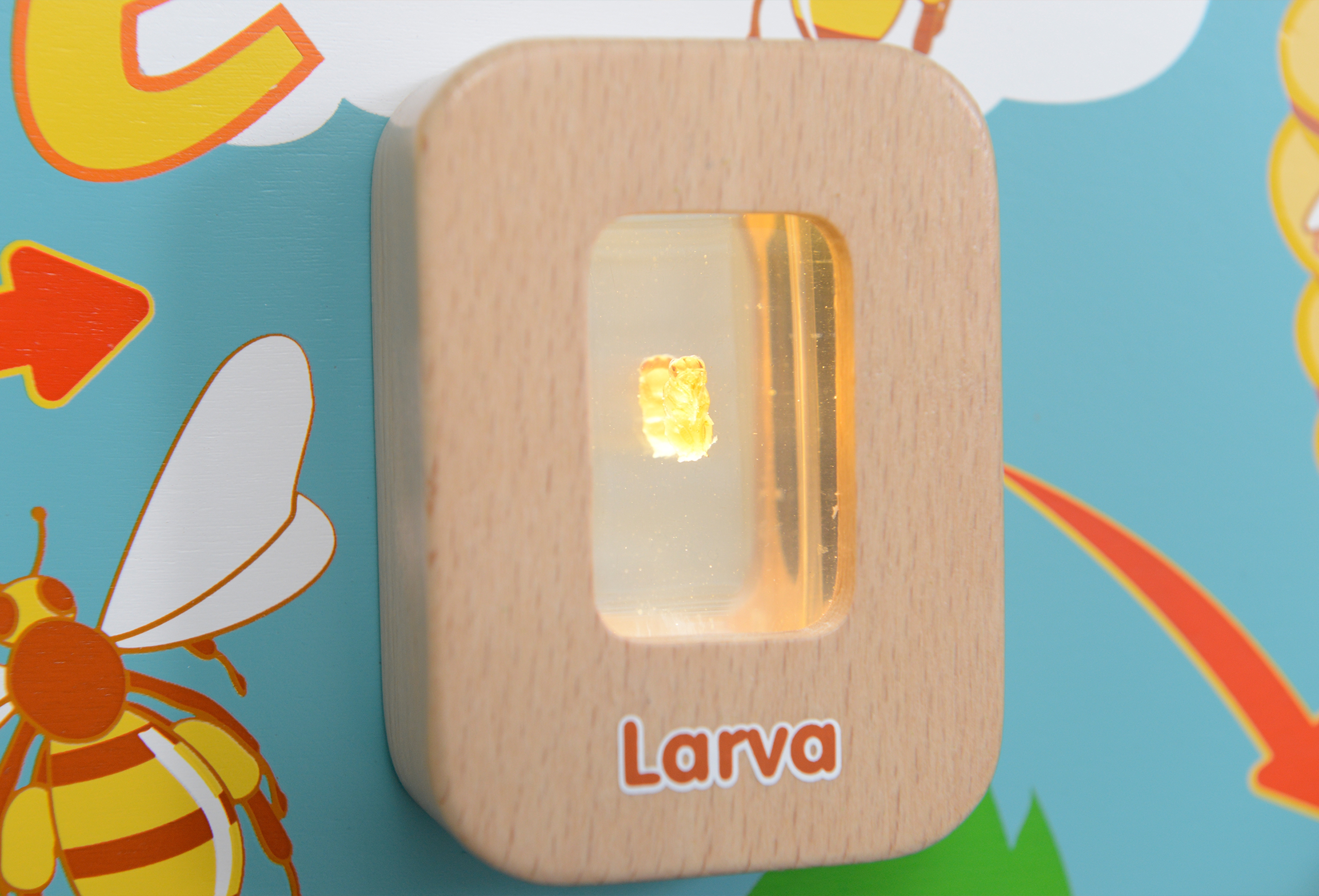 Cykl życia pszczoły ścienna tablica edukacyjna flex montessori