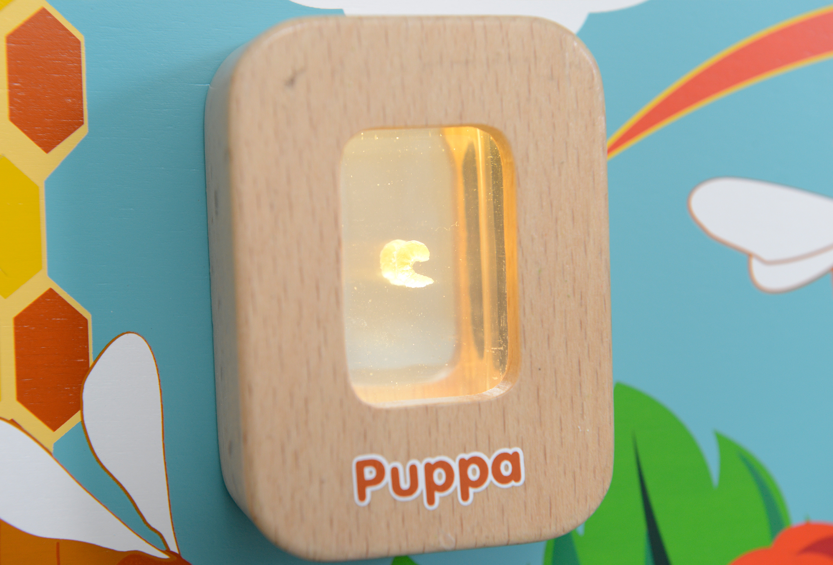 Cykl życia pszczoły ścienna tablica edukacyjna flex montessori