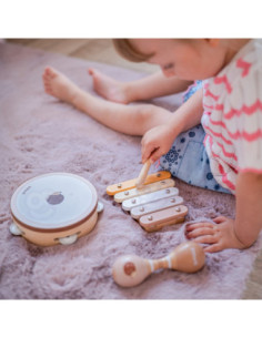 VIGA PolarB muzikos instrumentų rinkinys su ežiuku vaikams 2