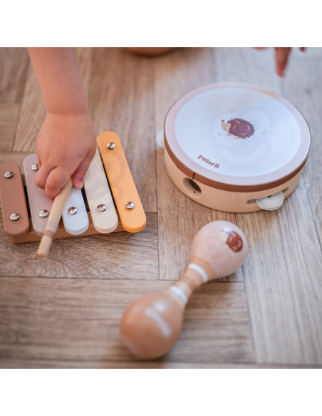 VIGA PolarB Zestaw Instrumentów Muzycznych Z Jeżykiem