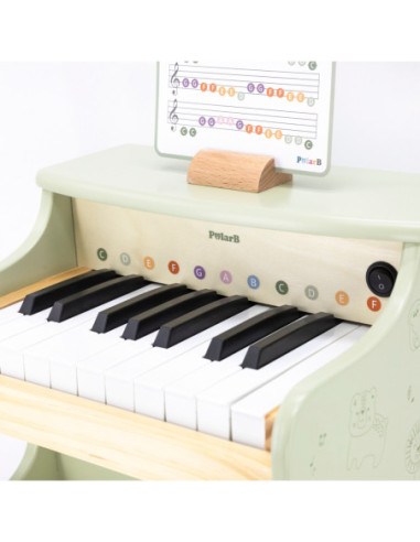 Viga Pianino Zielone Nauka Gry