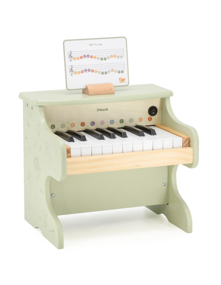 Viga Pianino Zielone Nauka Gry