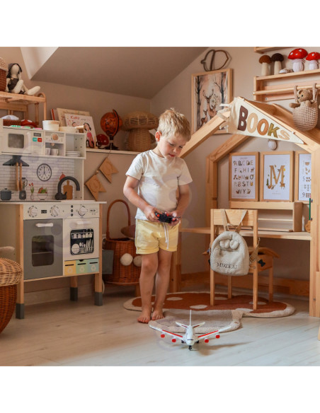 WOOPIE Zdalnie Sterowany Samolot Pasażerski Airline