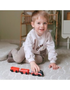 WOOPIE Zestaw Elektryczna Kolejka Farma Zwierzęta 70 Elementów 2