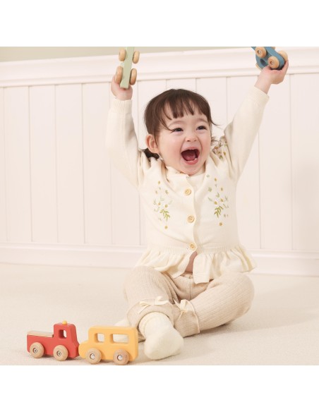 PolarB Wooden Vehicle Set – VIGA Educational Toy