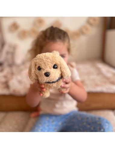 An interactive plush dog for children from the Woopie brand