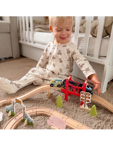 Zoo Woopie Green Wooden Train - Track, Train, Bridge and 60 Pieces