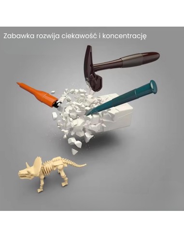 WOOPIE „Mažojo archeologo“ kasinėjimų vieta – 6 dinozaurų skeletai