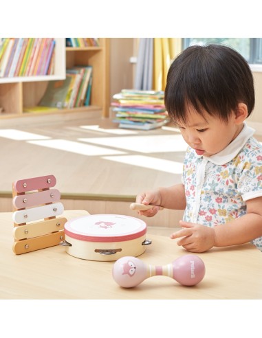 VIGA PolarB Zestaw Instrumentów Muzycznych Różowy - Muzyka dla Dzieci
