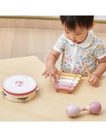 VIGA PolarB Pink Musical Instrument Set - Music for Children
