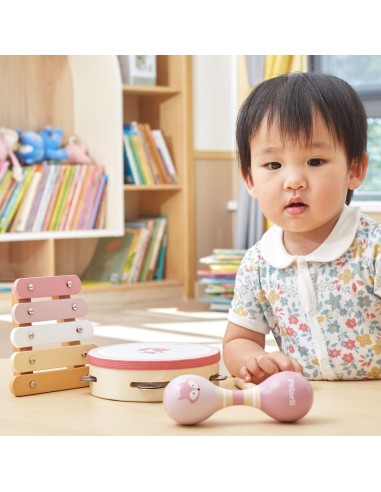 VIGA PolarB Pink Musical Instrument Set - Music for Children