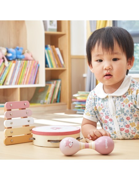 VIGA PolarB Pink Musical Instrument Set - Music for Children