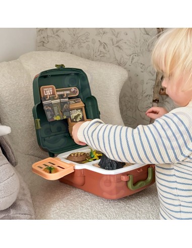 Dinosaur World Woopie Set - Dinosaur Suitcase Educational Toy