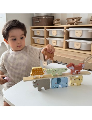 Wooden Animal Blocks Montessori TOOKY TOY - 9 pcs.