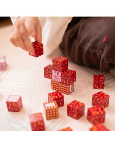 Magnetiniai kaladėlių blokai „Pixel“ – 74 dalių rinkinys Woopie
