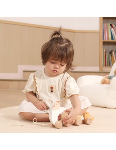 VIGA PolarB Wooden Pulling Hen with Chicks