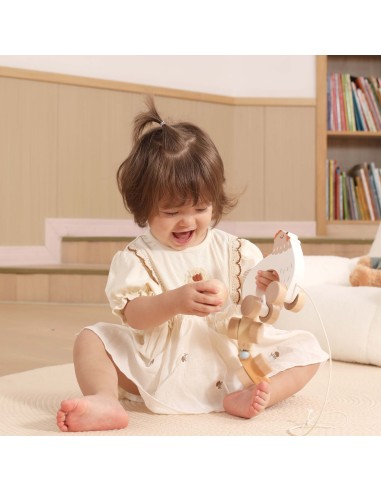 VIGA PolarB Wooden Pulling Hen with Chicks