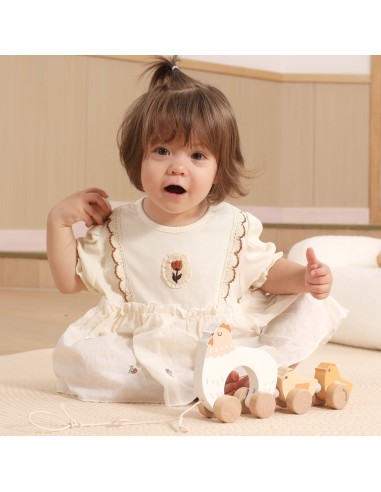 VIGA PolarB Wooden Pulling Hen with Chicks