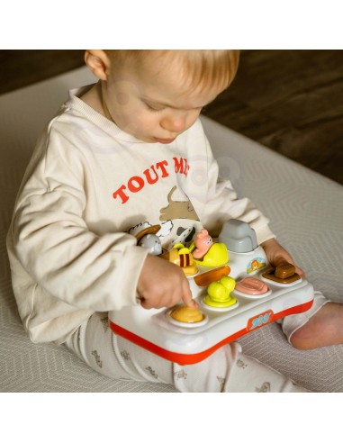 WOOPE BABY Educational Toy Pop-Up Zoo Animals