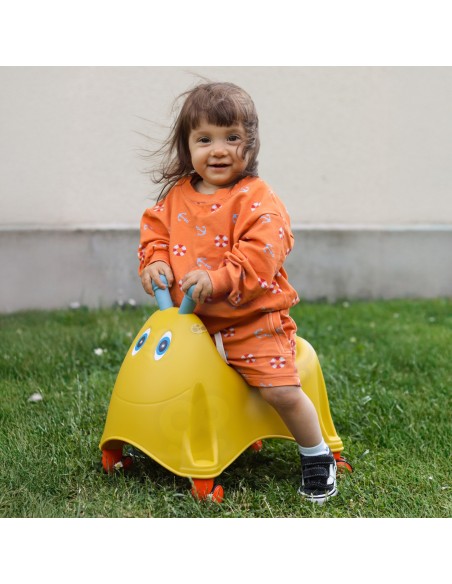 FEBER Casual Ride-on Pusher with 360° Swivel Wheels 1+