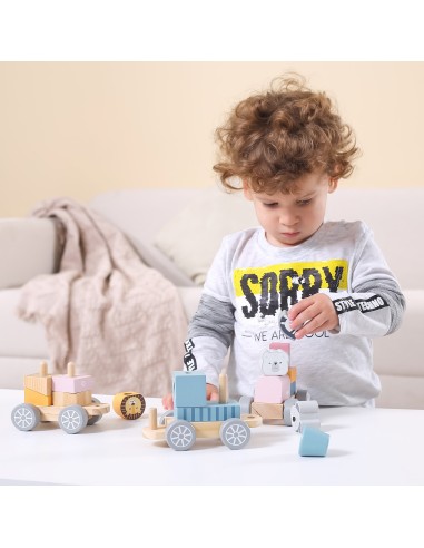 VIGA PolarB Wooden Train with Carriages - Montessori fun