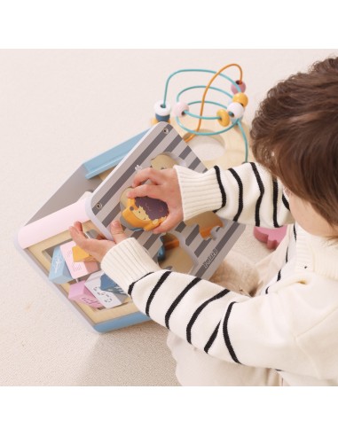 VIGA PolarB Activity Box 5in1 - Wooden Game Center for Children