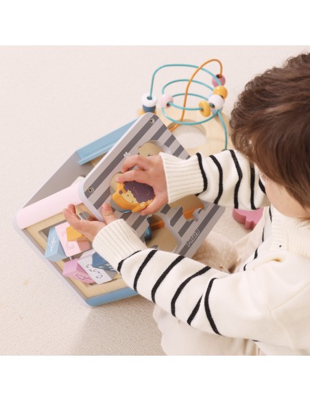 VIGA PolarB Activity Box 5in1 - Wooden Game Center for Children