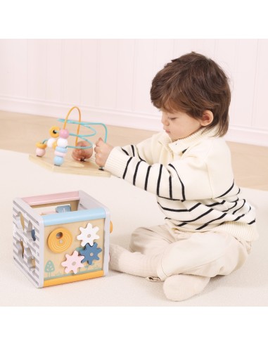 VIGA PolarB Activity Box 5in1 - Wooden Game Center for Children