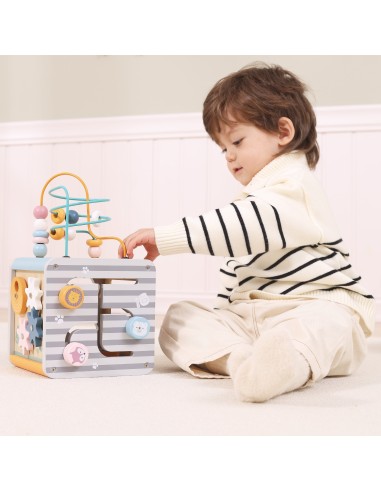 VIGA PolarB Activity Box 5in1 - Wooden Game Center for Children