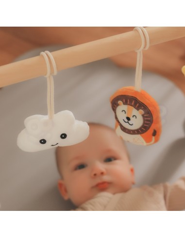 VIGA PolarB Lankas Stovas kūdikiams Baby Gym - Edukacinis žaislas