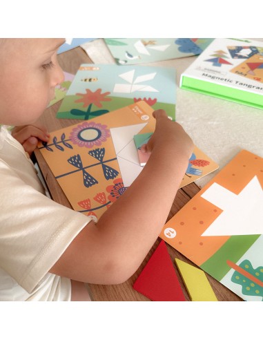 TOOKY TOY Tangram Puzzle 18 pieces - Learning Shapes for Children